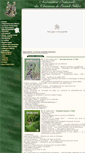 Mobile Screenshot of ancgg.org